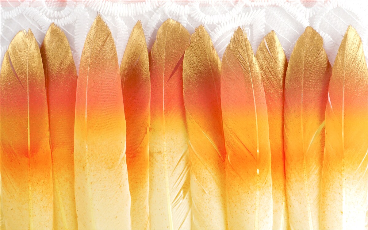 Fototapeta perie so žltým odtieňom na pozadí úsvitu