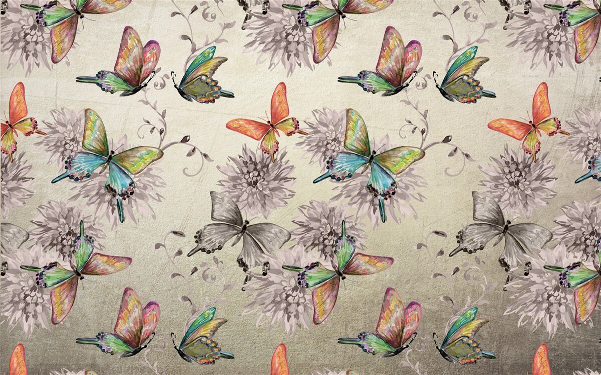 Fototapeta Existuje veľa motýľov, všetky v rôznych farbách