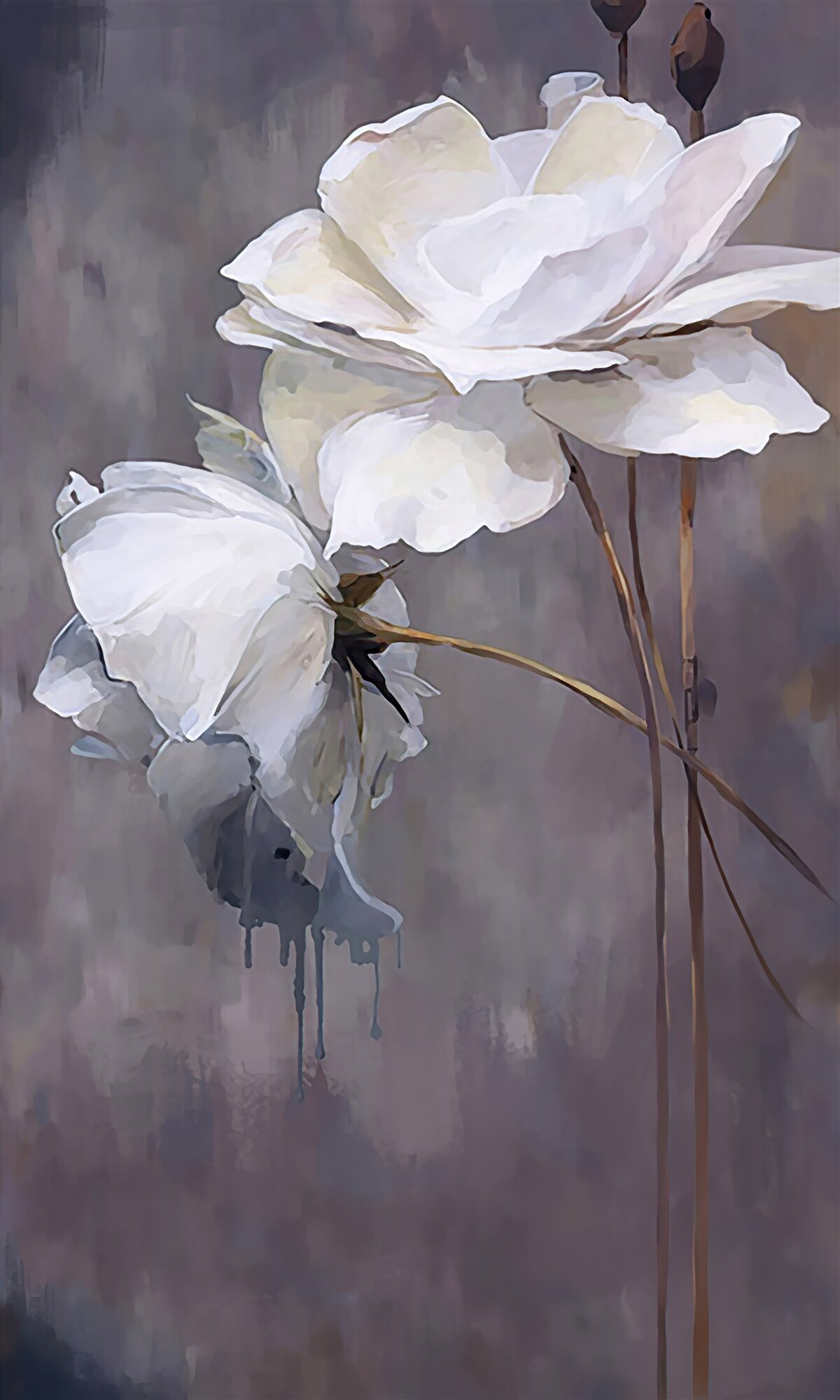 Fototapeta dva veľké biele kvety