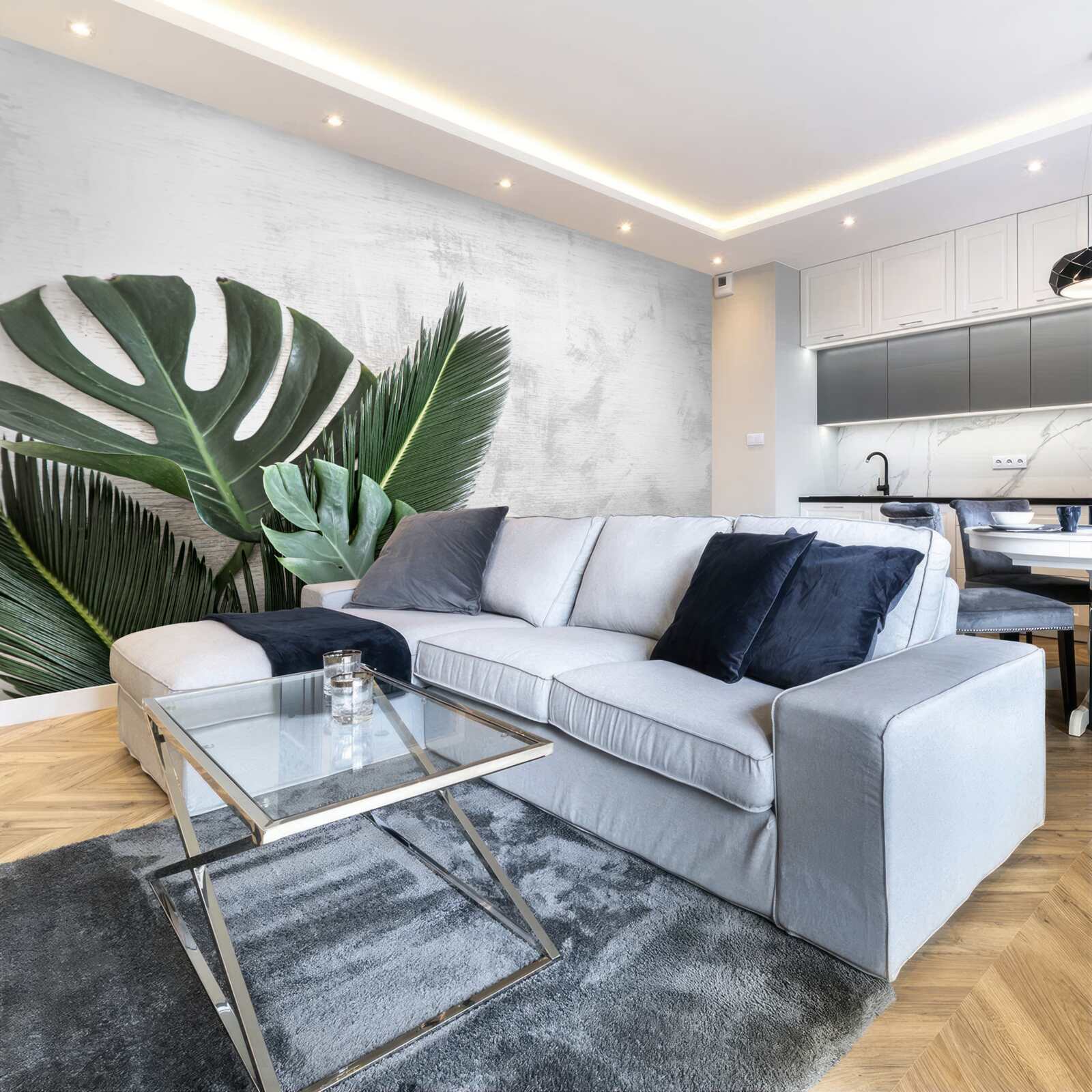 Fototapeta sivé pozadie zvýrazňuje zeleň paprade