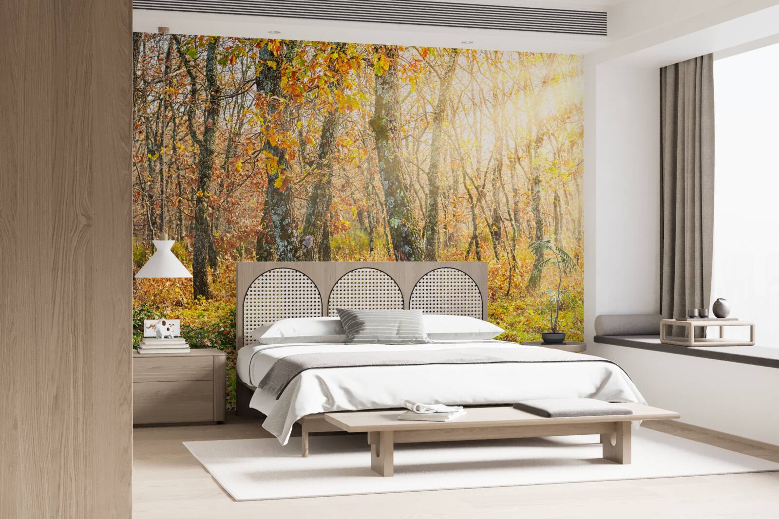 Fototapeta Svitanie v jesennej húštine