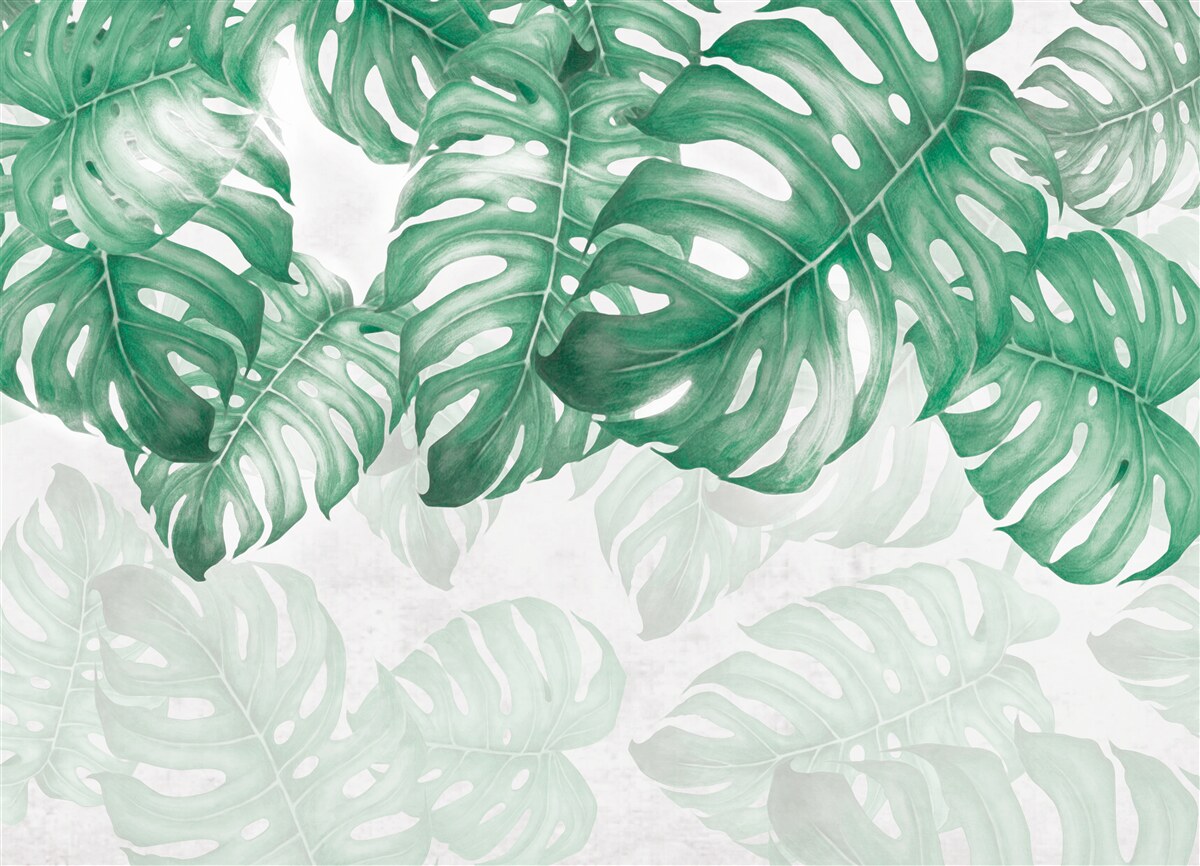 Fototapeta listy paprade na svetlom pozadí