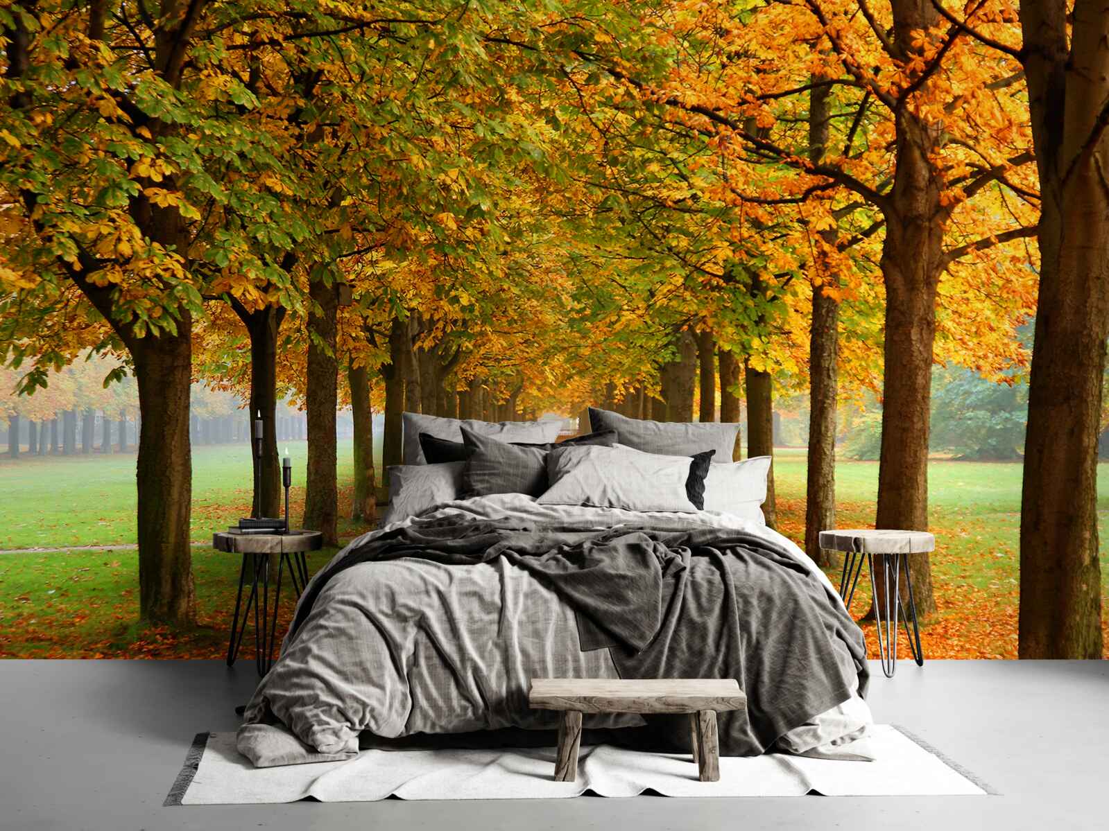 Fototapeta nekonečná jesenná cesta