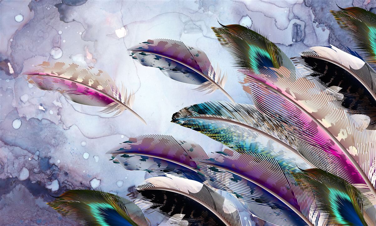 Fototapeta perie čarovného vtáka