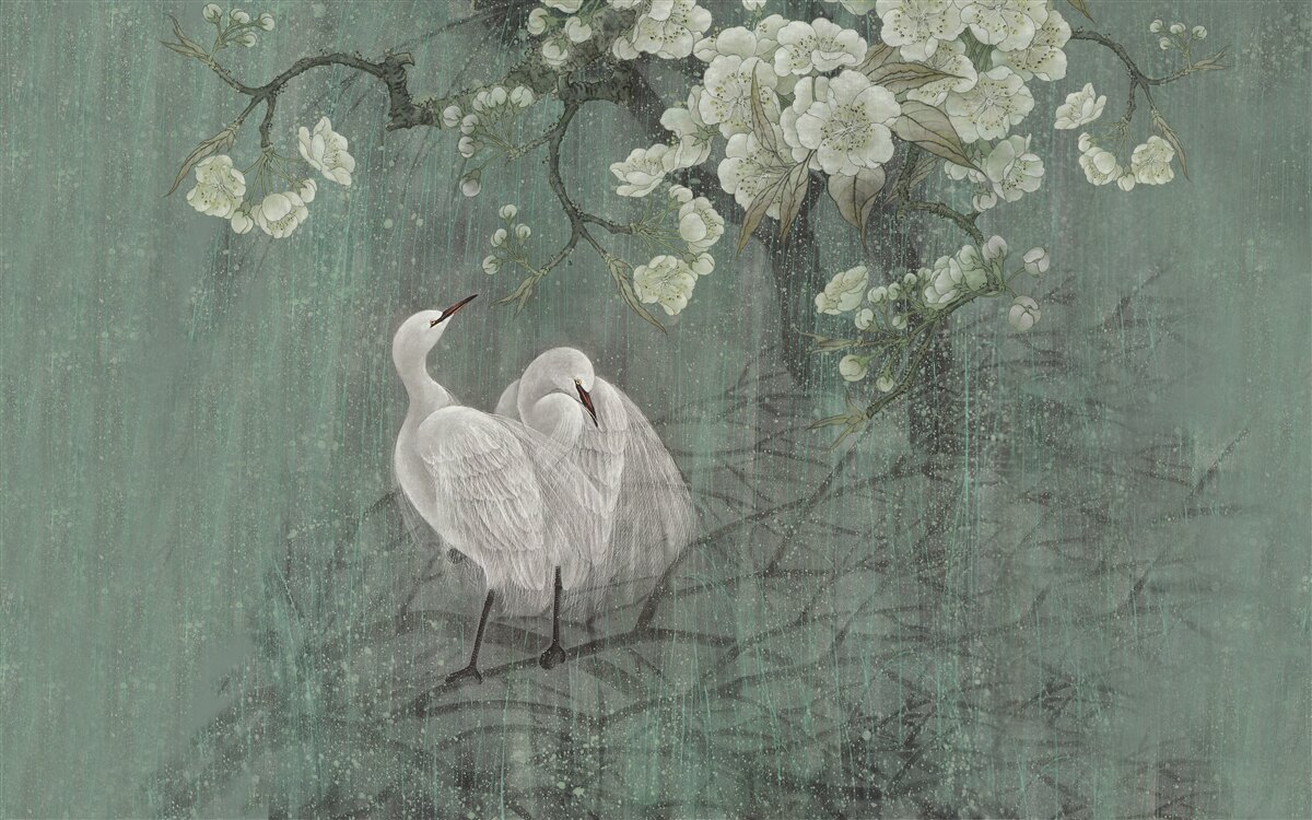 Fototapeta labute plávajú pod stromom v plnom kvete