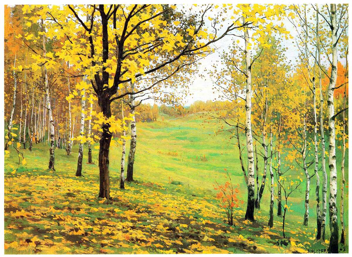 Fototapeta jesenný les je zahalený do úžasných odtieňov