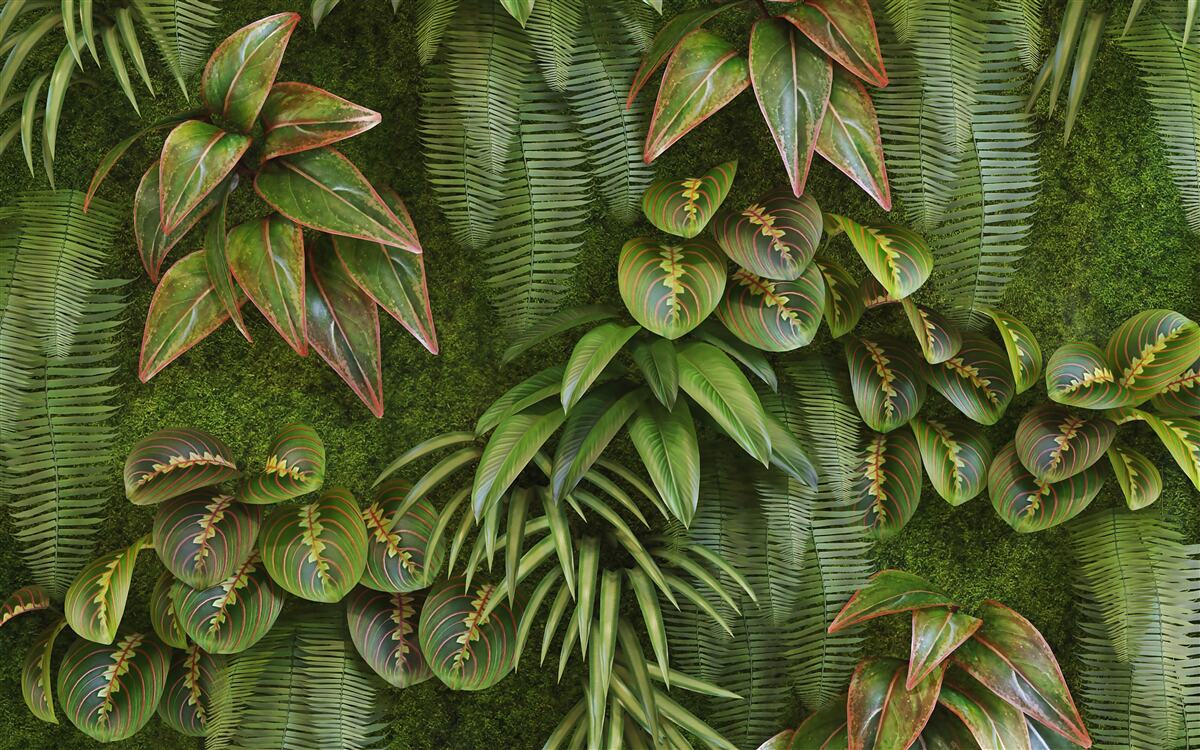 Fototapeta listy banánu a paprade sú tmavo zelené