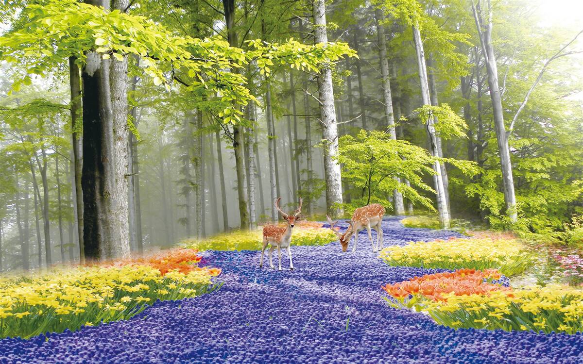 Fototapeta srnčia prechádzka v zelenom lese