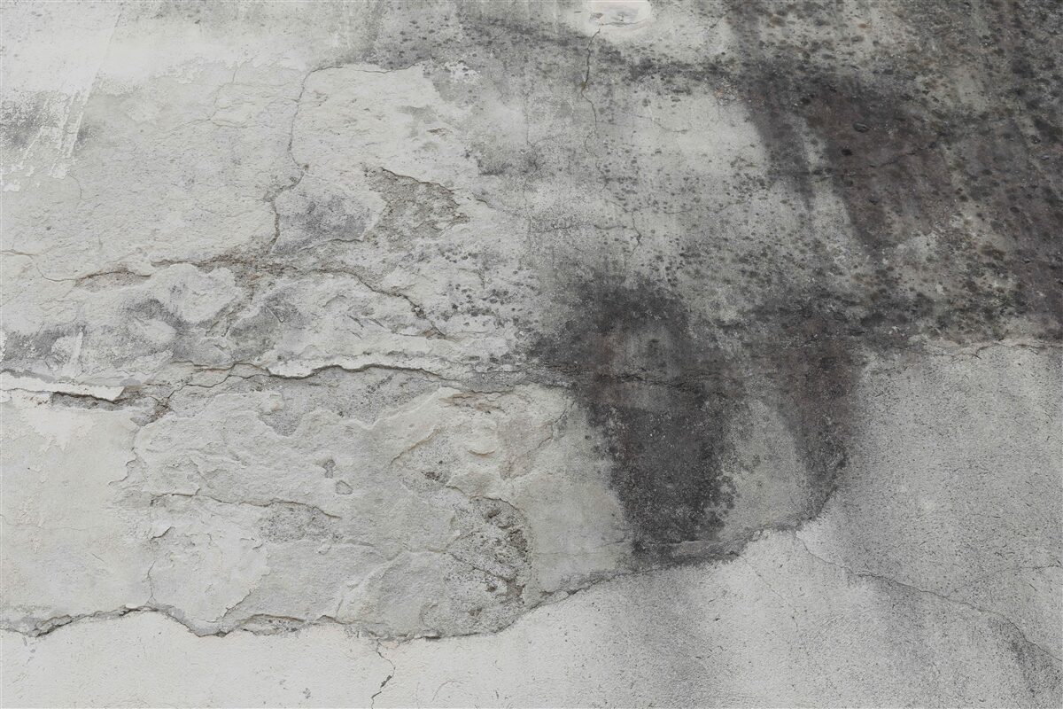 Fototapeta textúra sivého odpadu