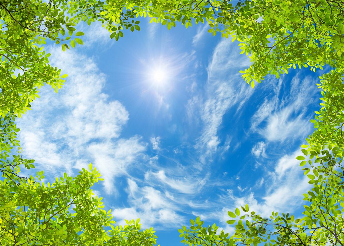 Fototapeta zelená, v ktorej je pochované slnko a modrá obloha