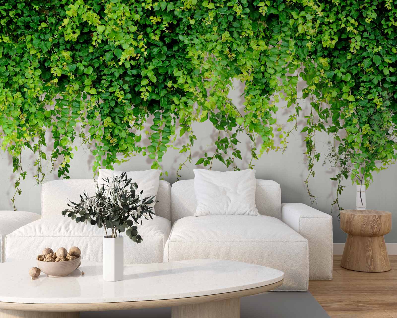 Fototapeta závesné rastliny sú svetlozelené