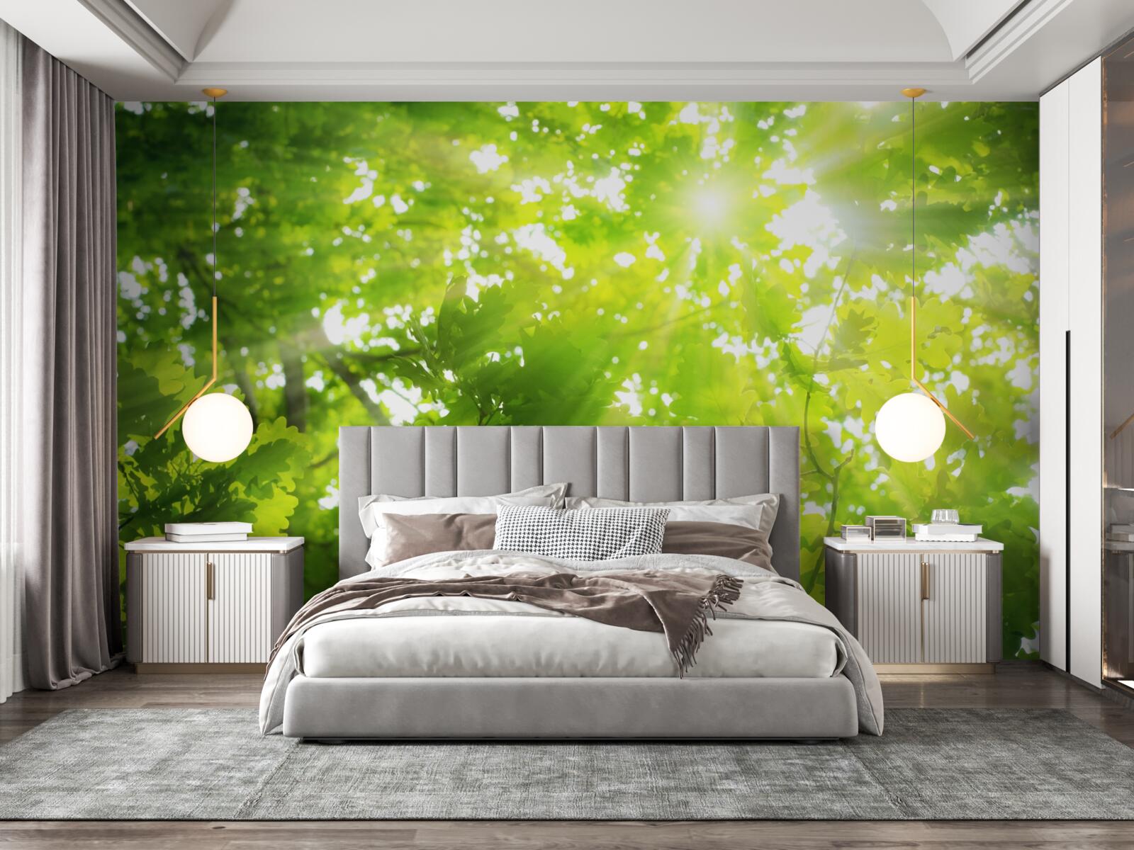 Fototapeta slnečné lúče žiariace v zelenej húštine