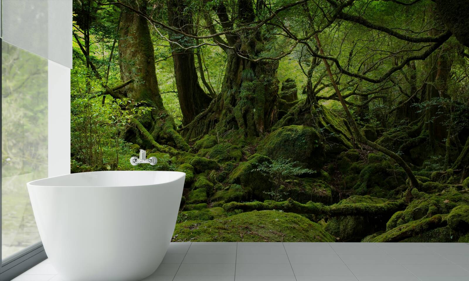 Fototapeta hustý zelený les