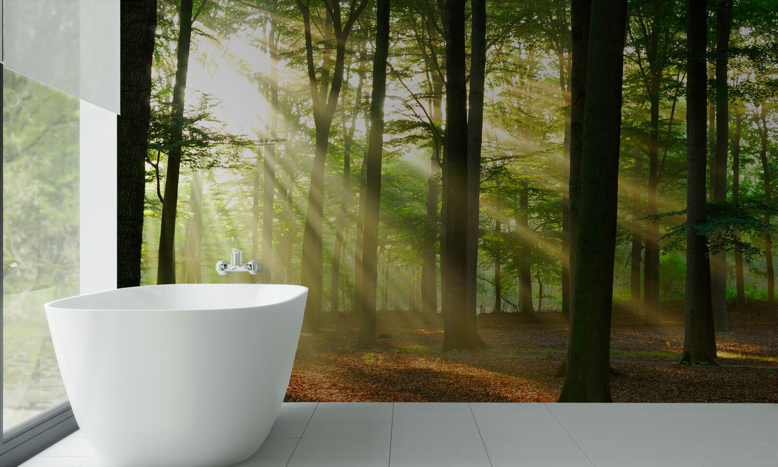 Fototapeta slnečné lúče prenikajú rannou hmlou na púšti