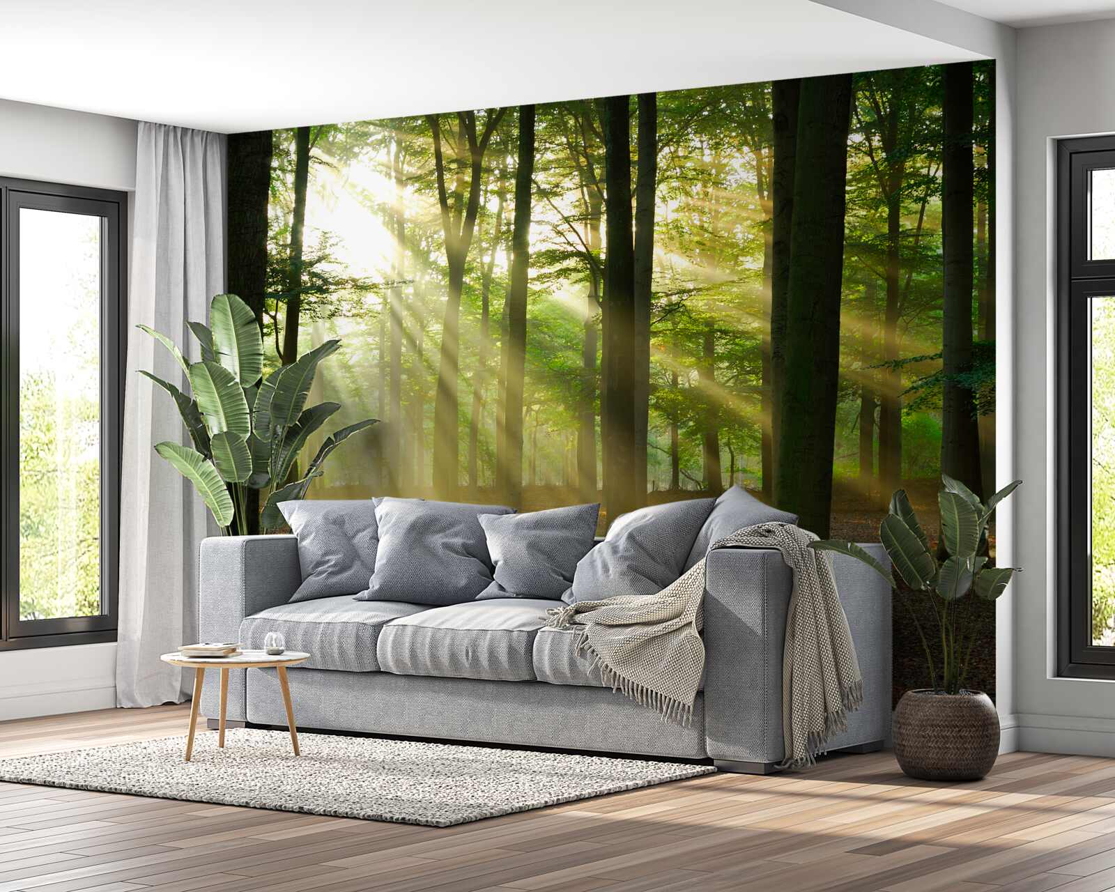 Fototapeta slnečné lúče prenikajú rannou hmlou na púšti