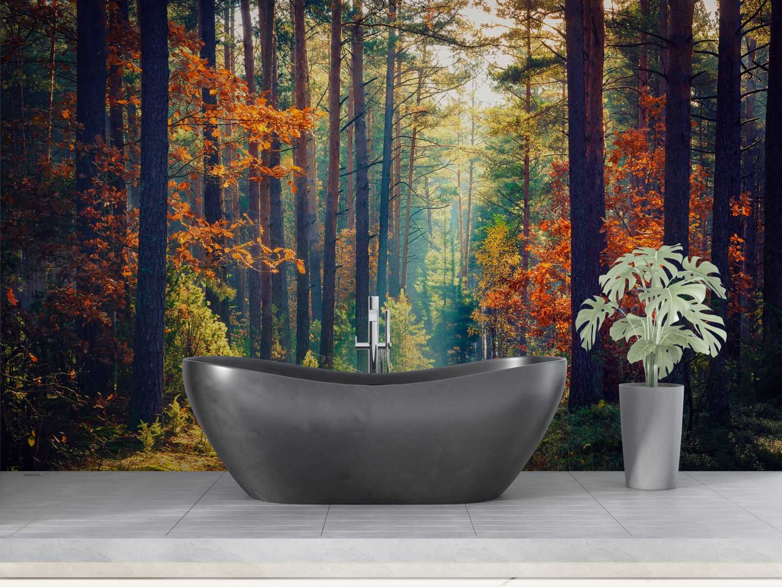 Fototapeta slnečný lúč v jesennom lese