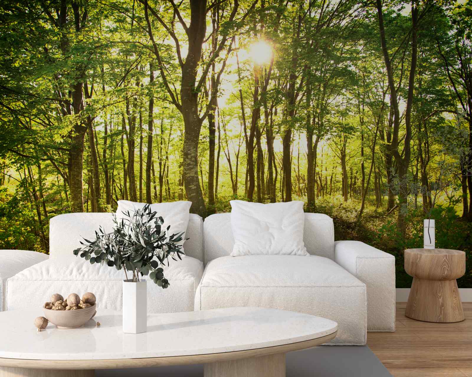 Fototapeta slnečné lúče osvetľujú osikový háj