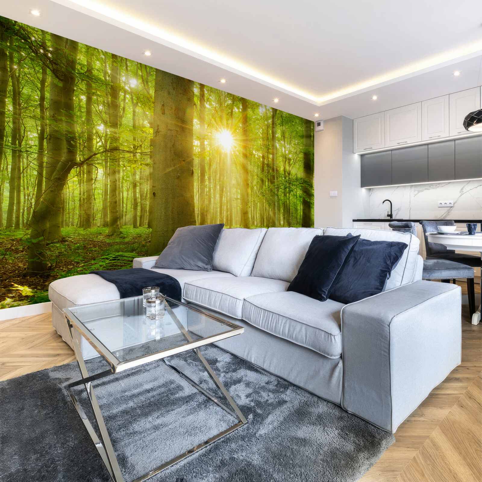 Fototapeta Slnečné svetlo v bukovom lese