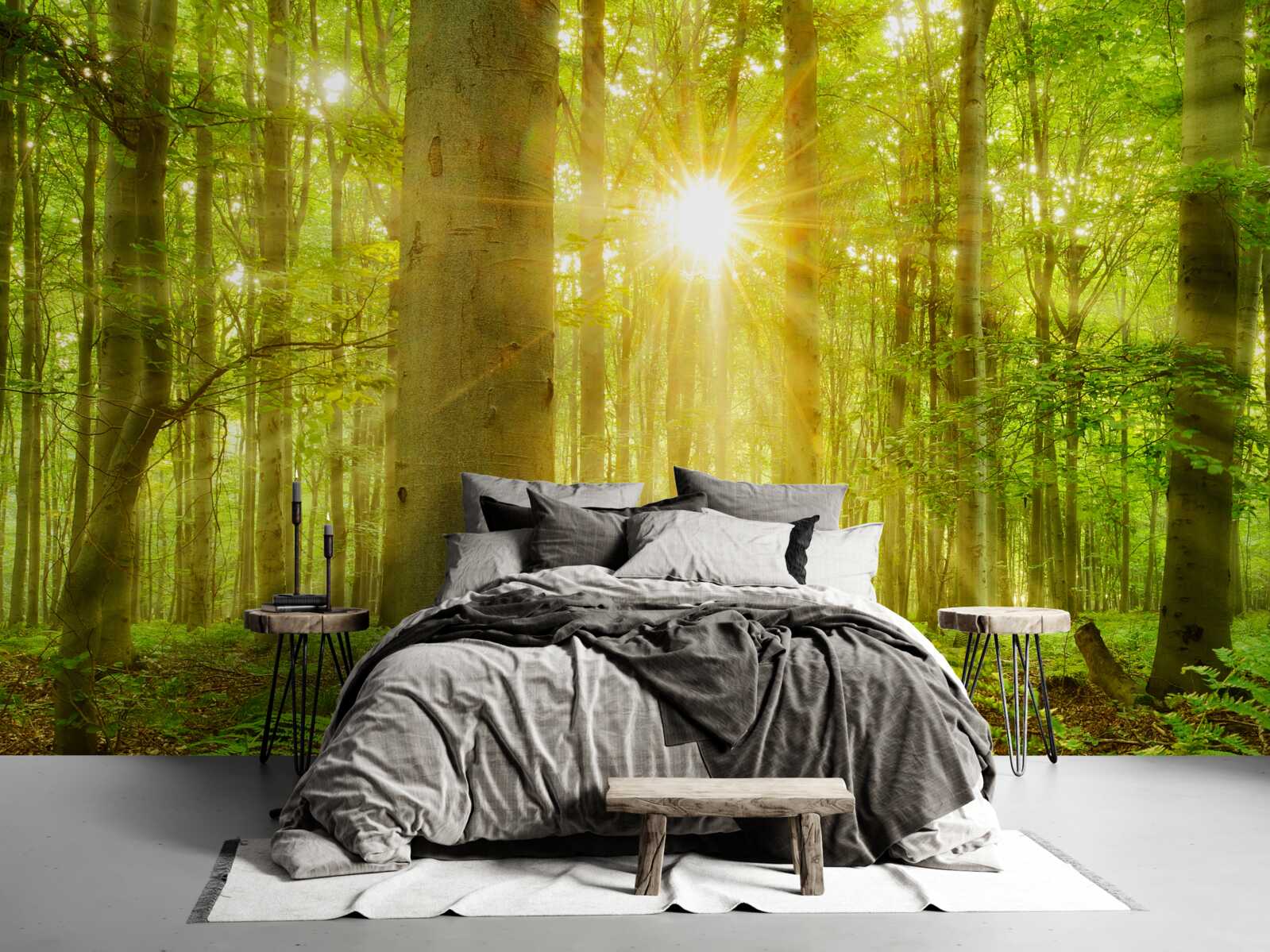 Fototapeta Slnečné svetlo v bukovom lese