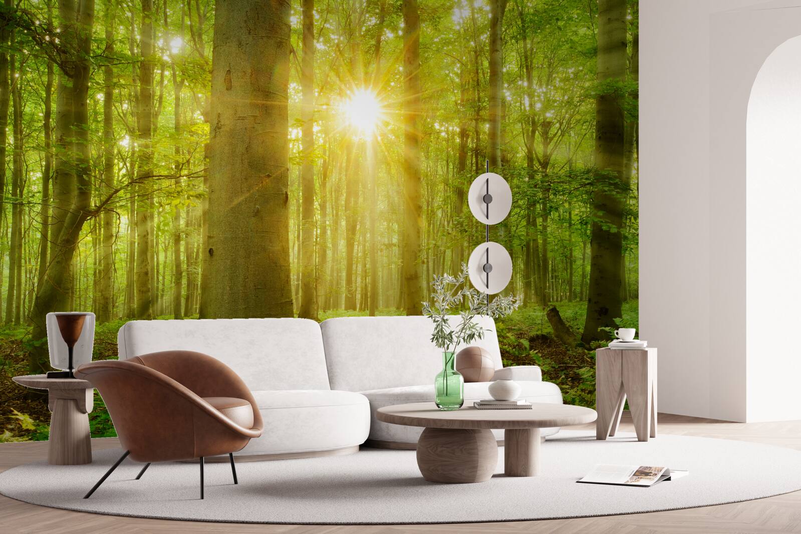 Fototapeta Slnečné svetlo v bukovom lese