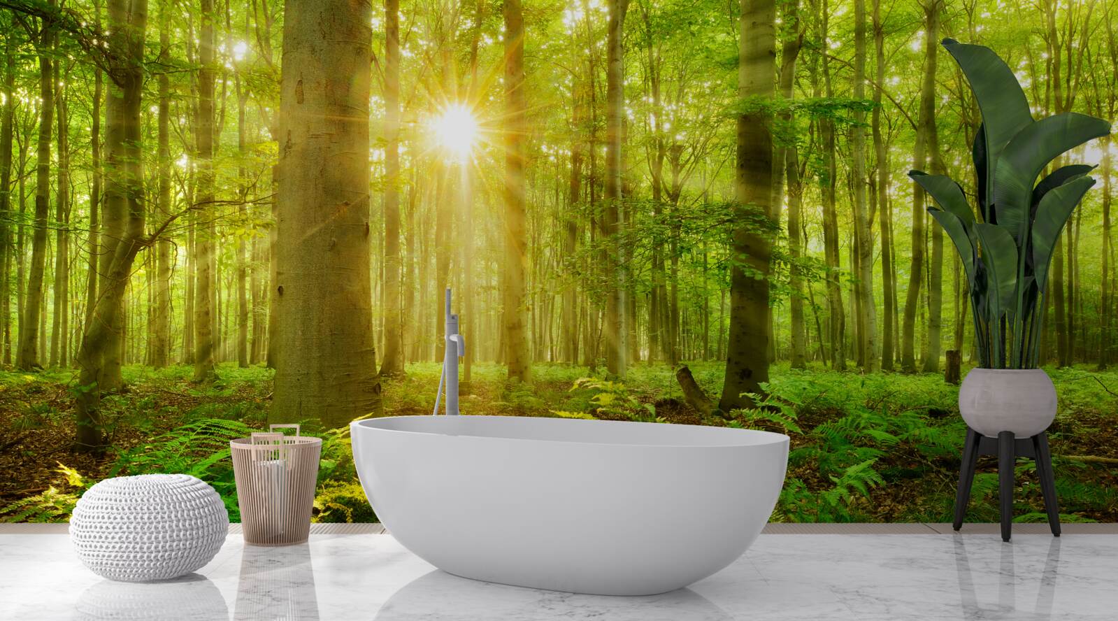 Fototapeta les ožíva v rannom slnku