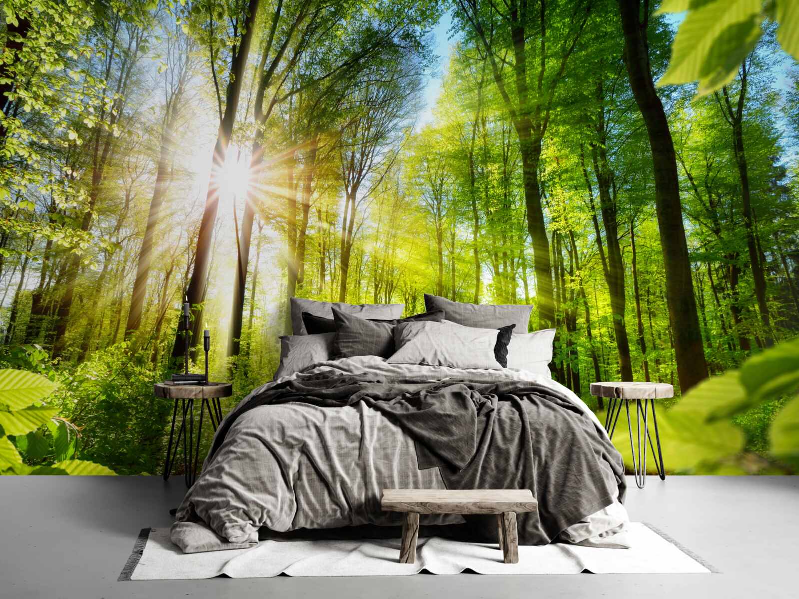 Fototapeta ranné slnečné lúče v zelenom lese