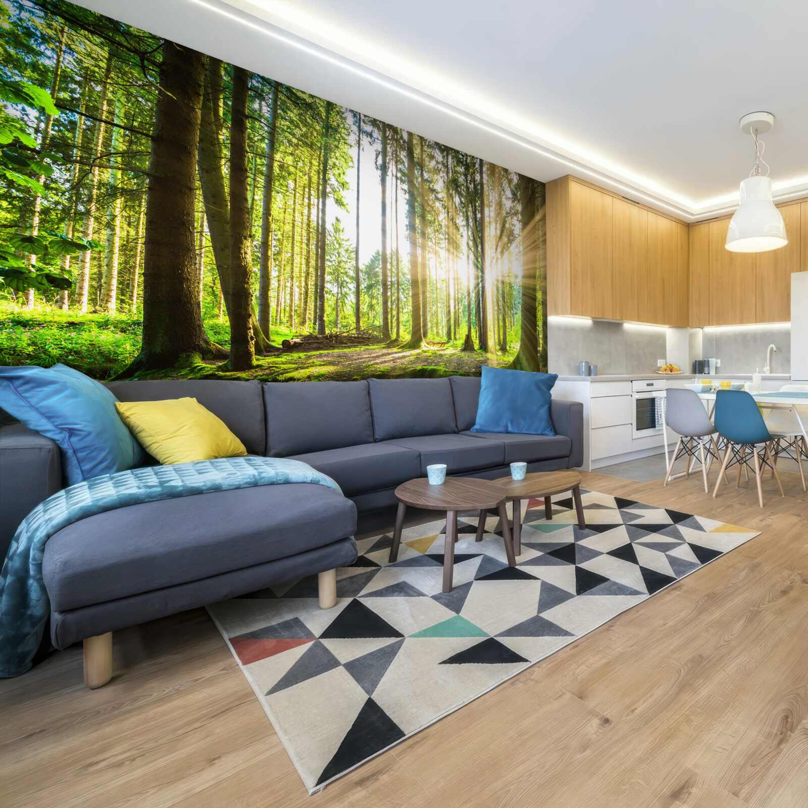 Fototapeta slnečné lúče prenikajú medzi vysoké stromy