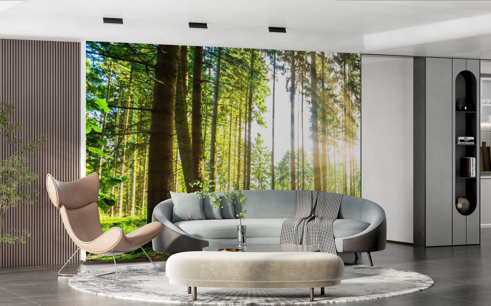 Fototapeta slnečné lúče prenikajú medzi vysoké stromy