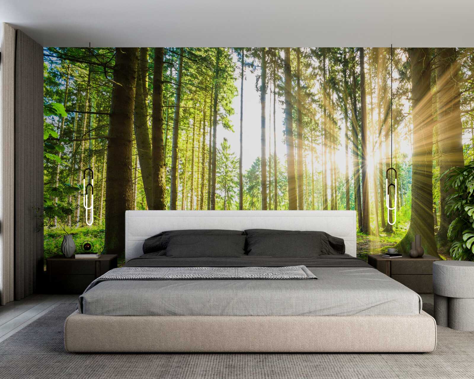 Fototapeta slnečné lúče prenikajú medzi vysoké stromy