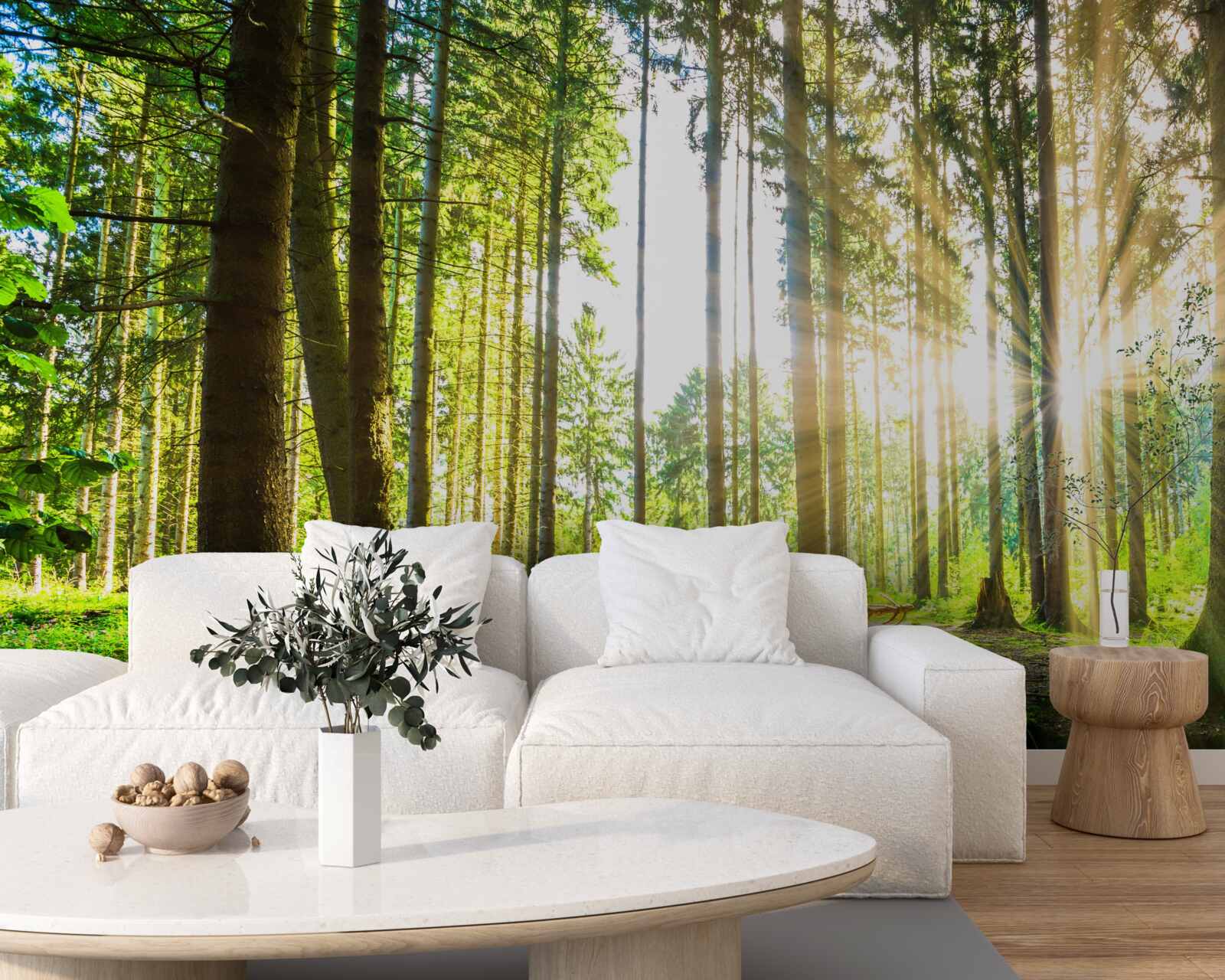 Fototapeta slnečné lúče prenikajú medzi vysoké stromy