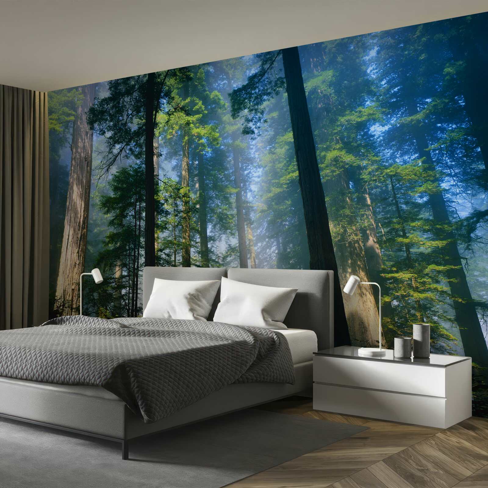 Fototapeta tenká hmlistá pokrývka medzi vysokými stromami v lese