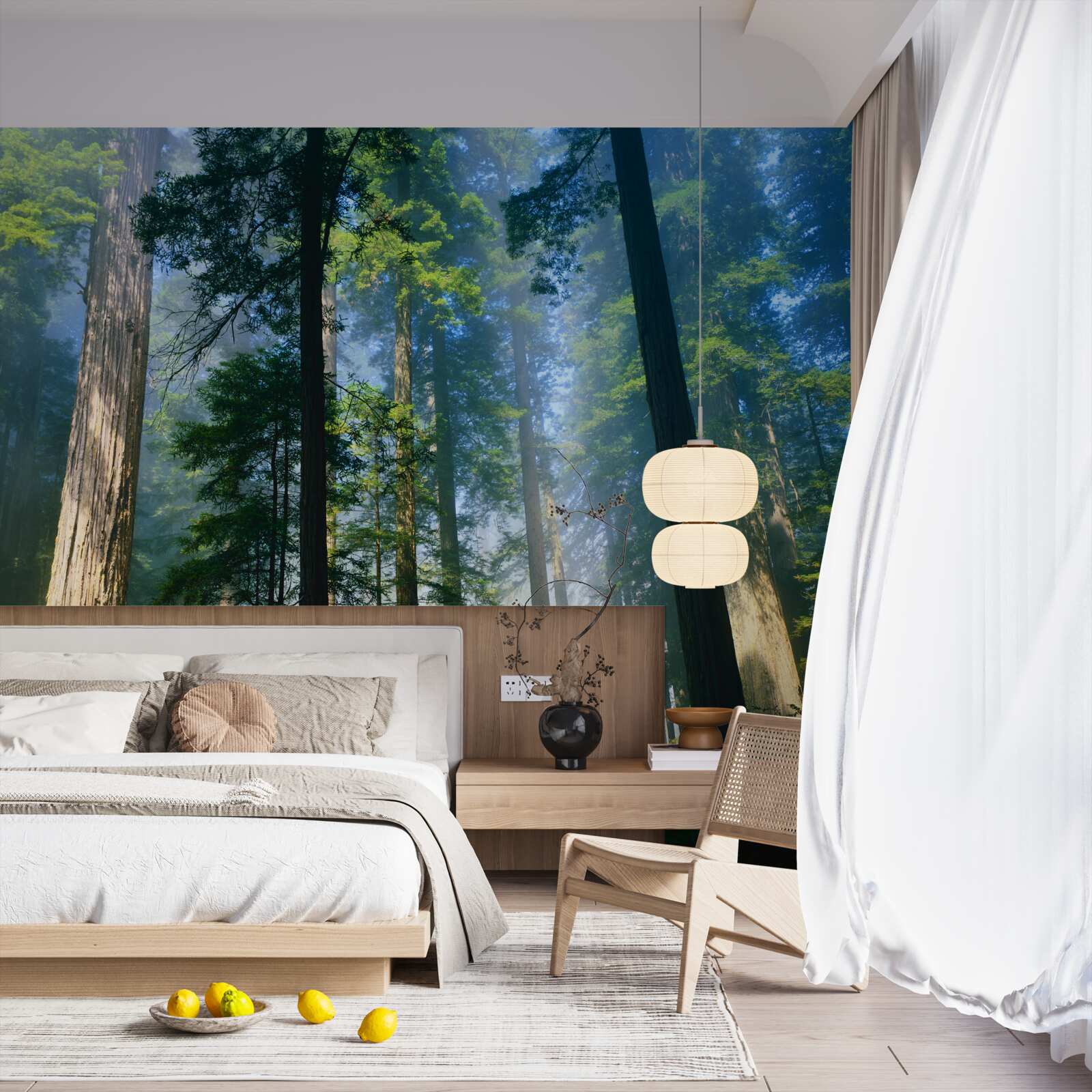 Fototapeta tenká hmlistá pokrývka medzi vysokými stromami v lese