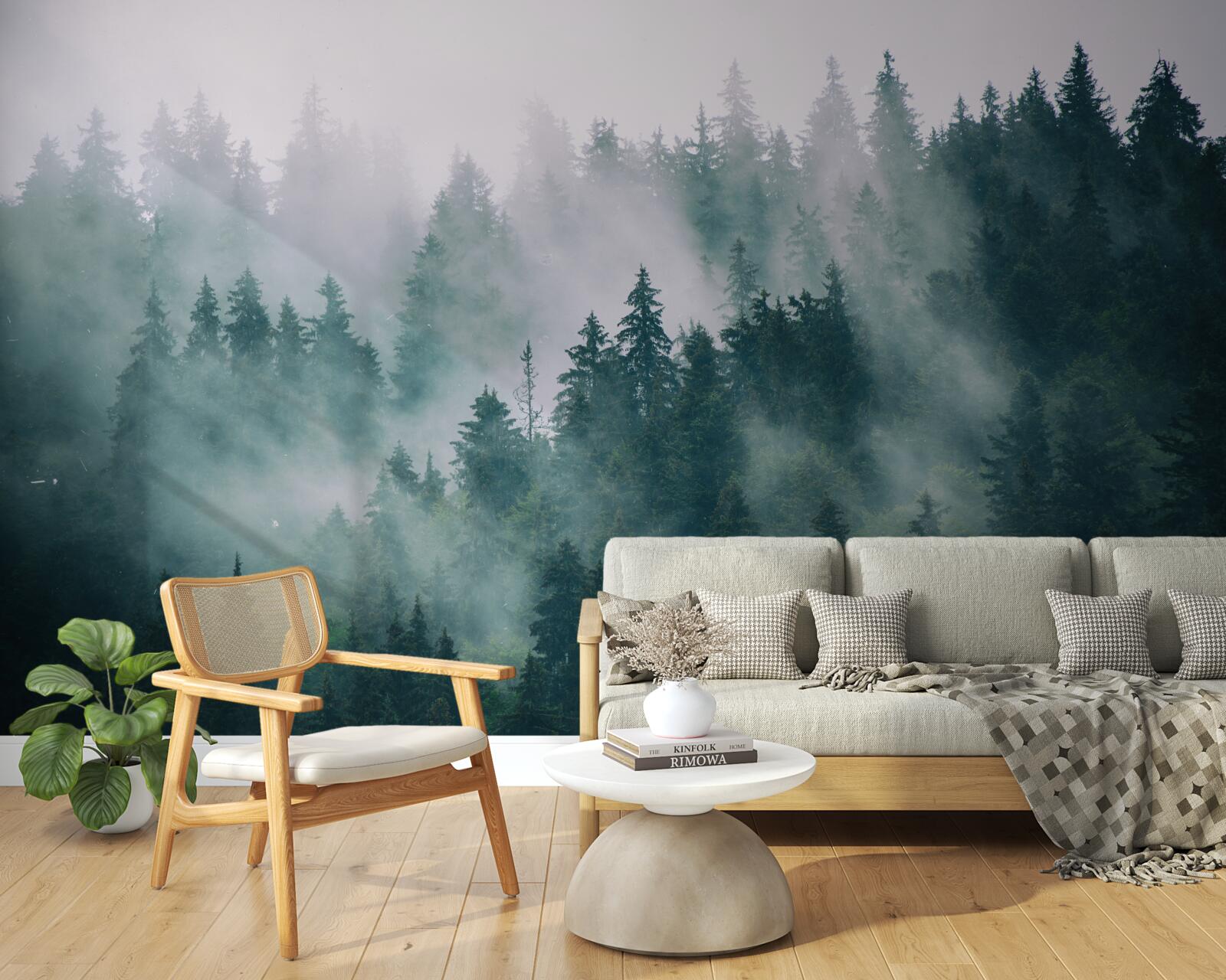 Fototapeta hmlistá ranná hodina v ihličnatom lese