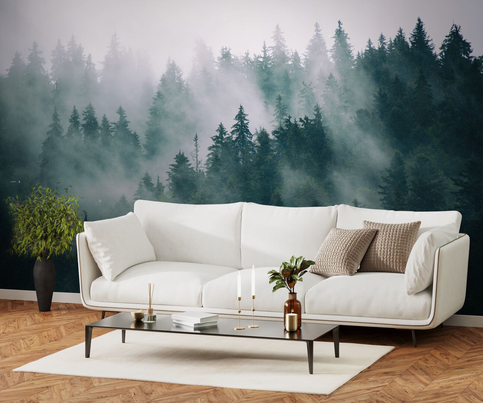 Fototapeta hmlistá ranná hodina v ihličnatom lese