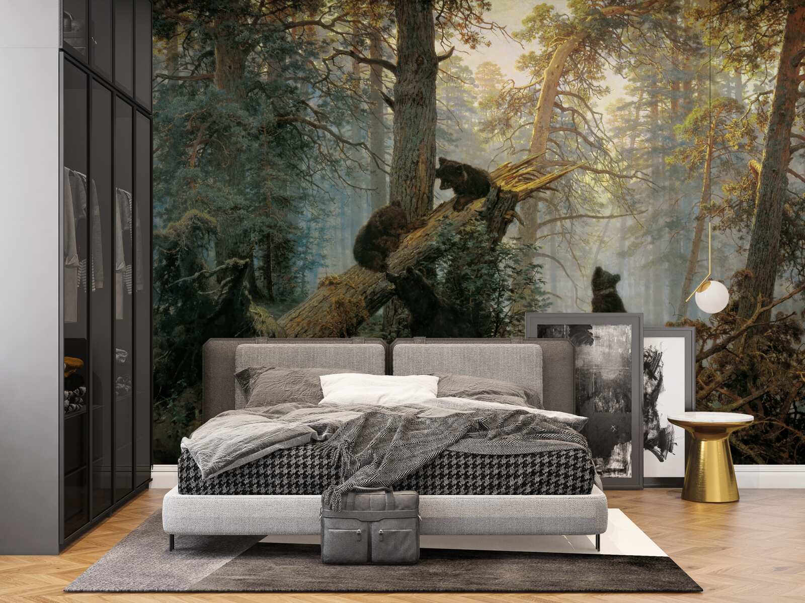 Fototapeta Svitanie v lese, kde vládnu borovice