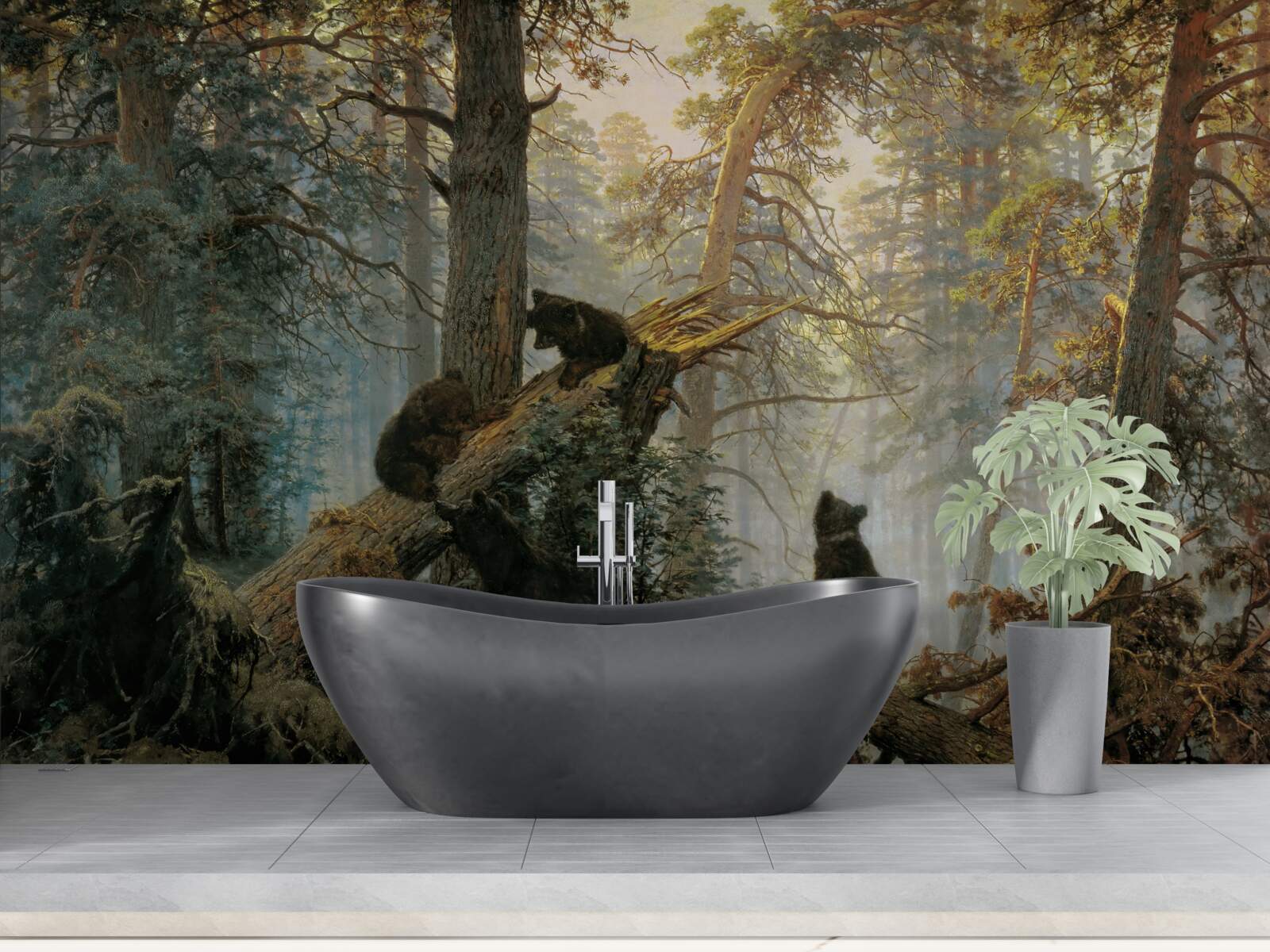 Fototapeta Svitanie v lese, kde vládnu borovice