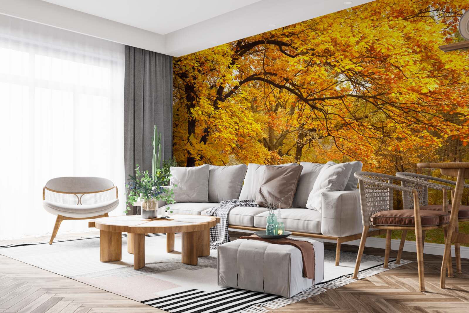 Fototapeta jeseň vstúpila do lesa vo svojich žltých šatách