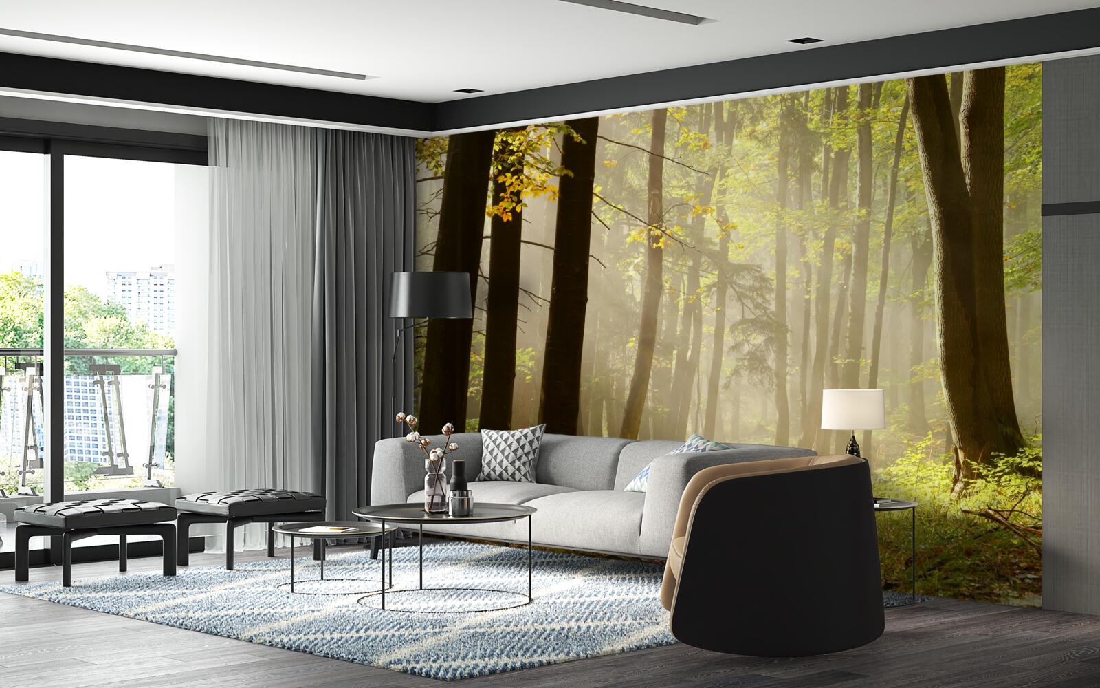 Fototapeta lúče ranného slnka prenikajú do hmly na púšti