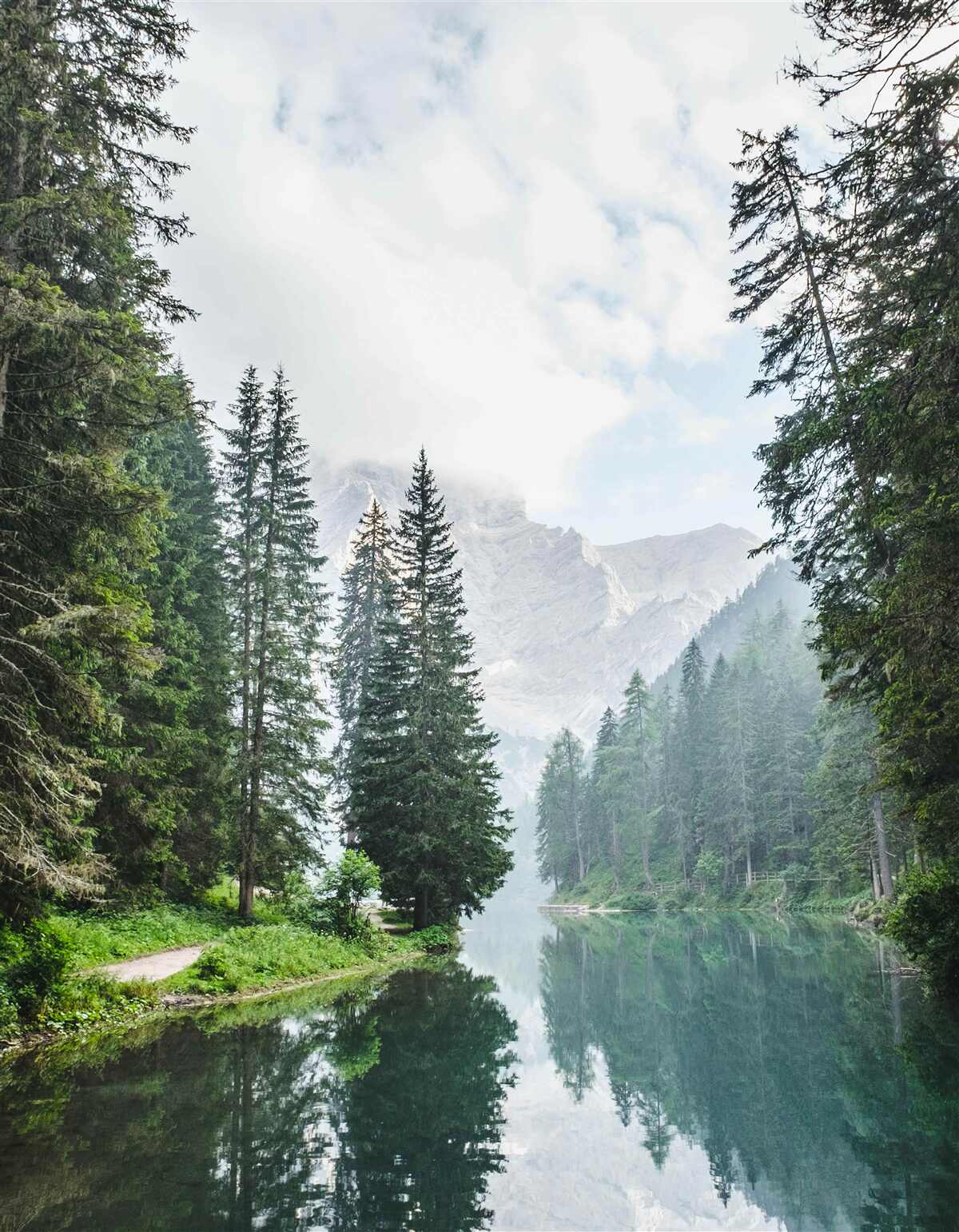 Fototapeta ticho tečie horská rieka zahalená v hmle