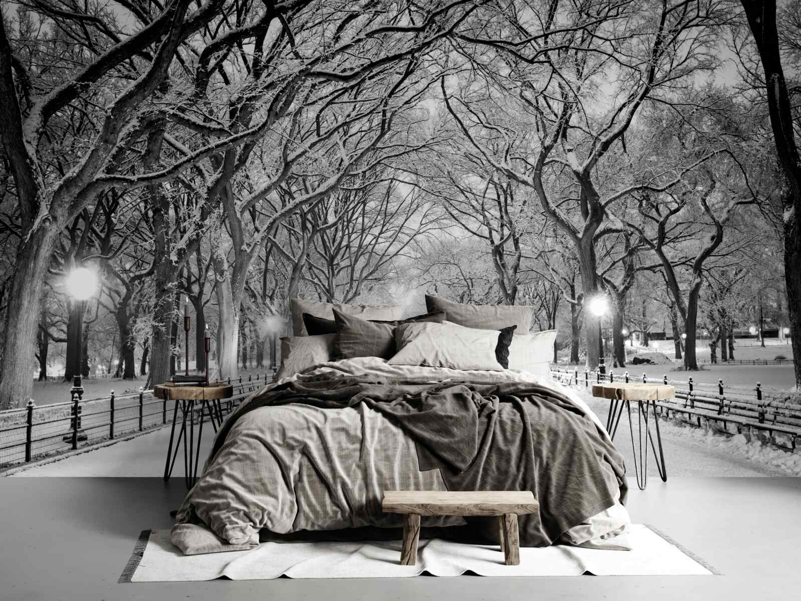 Fototapeta Snehová cesta medzi stromami