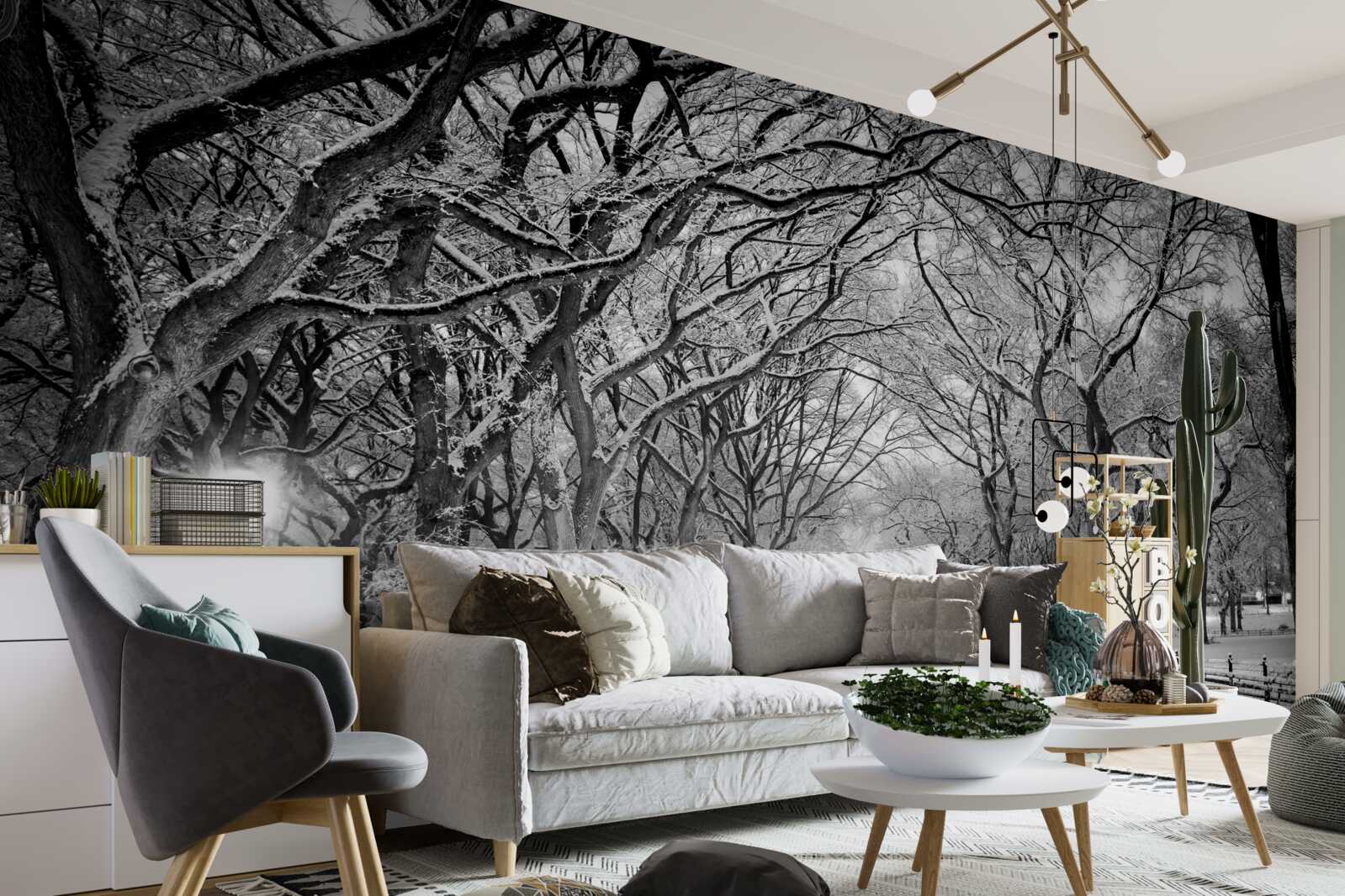 Fototapeta Snehová cesta medzi stromami