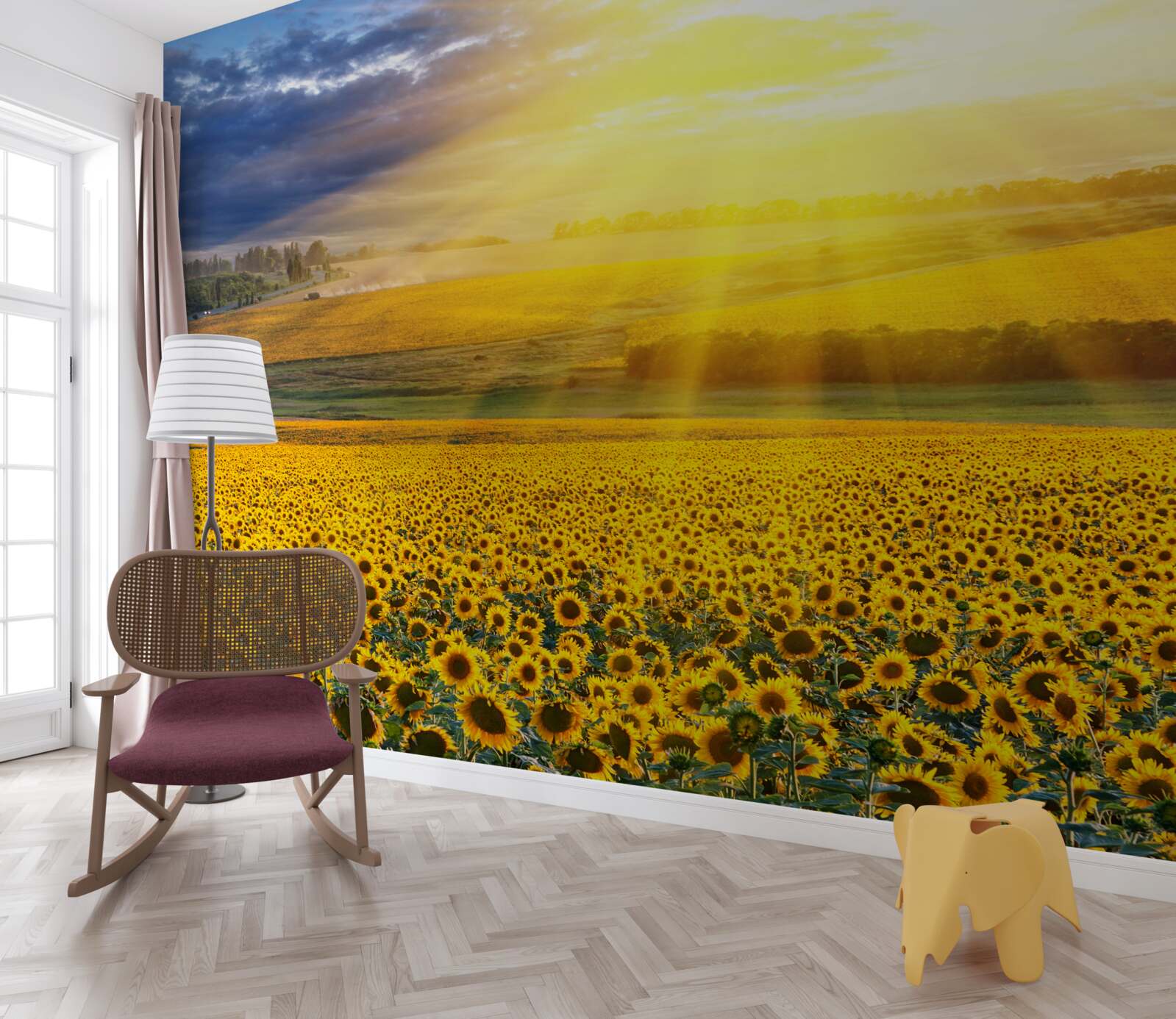 Fototapeta slnko je plné jasu nad poľom bujných slnečníc