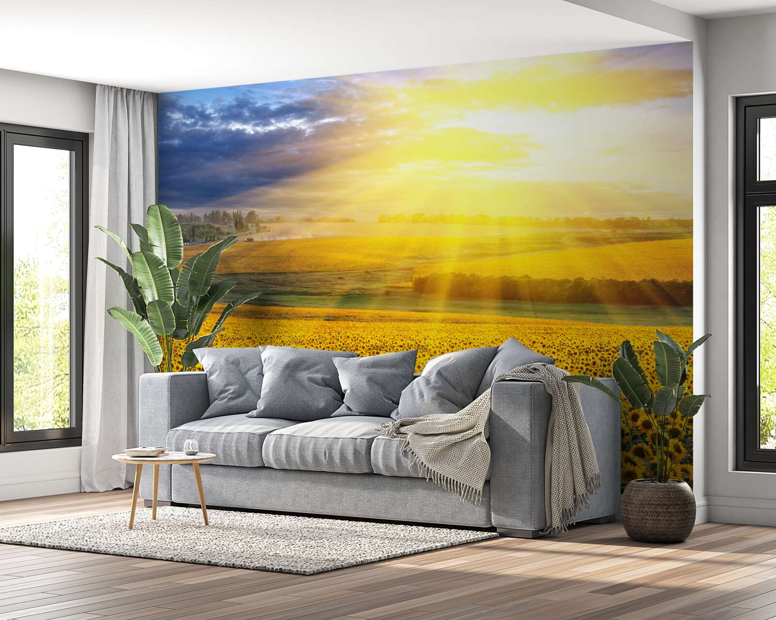 Fototapeta slnko je plné jasu nad poľom bujných slnečníc