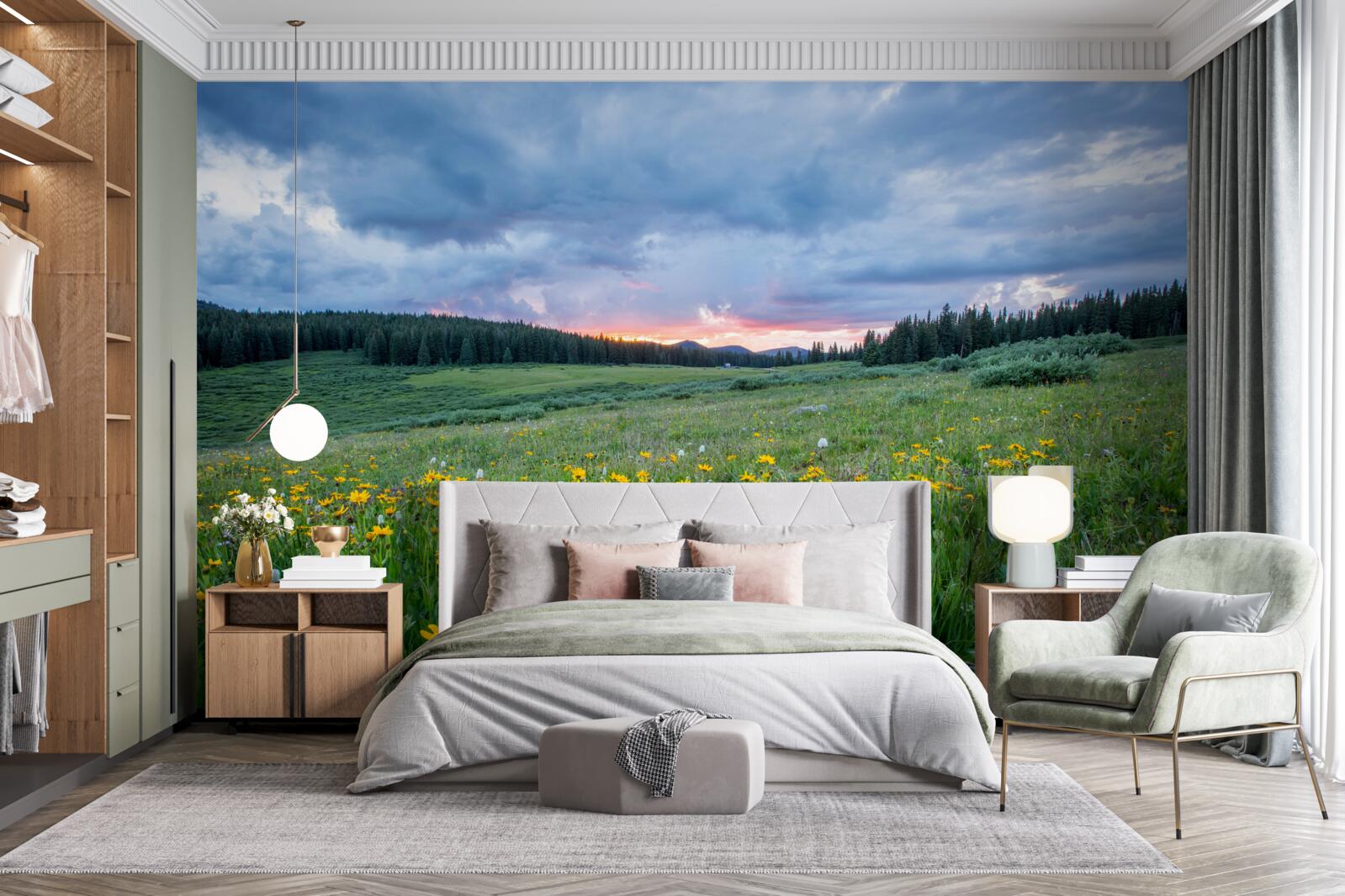 Fototapeta poľné lúčne rastliny