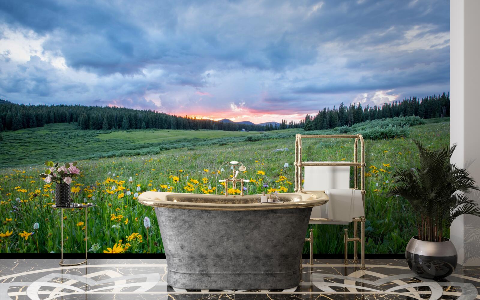 Fototapeta poľné lúčne rastliny