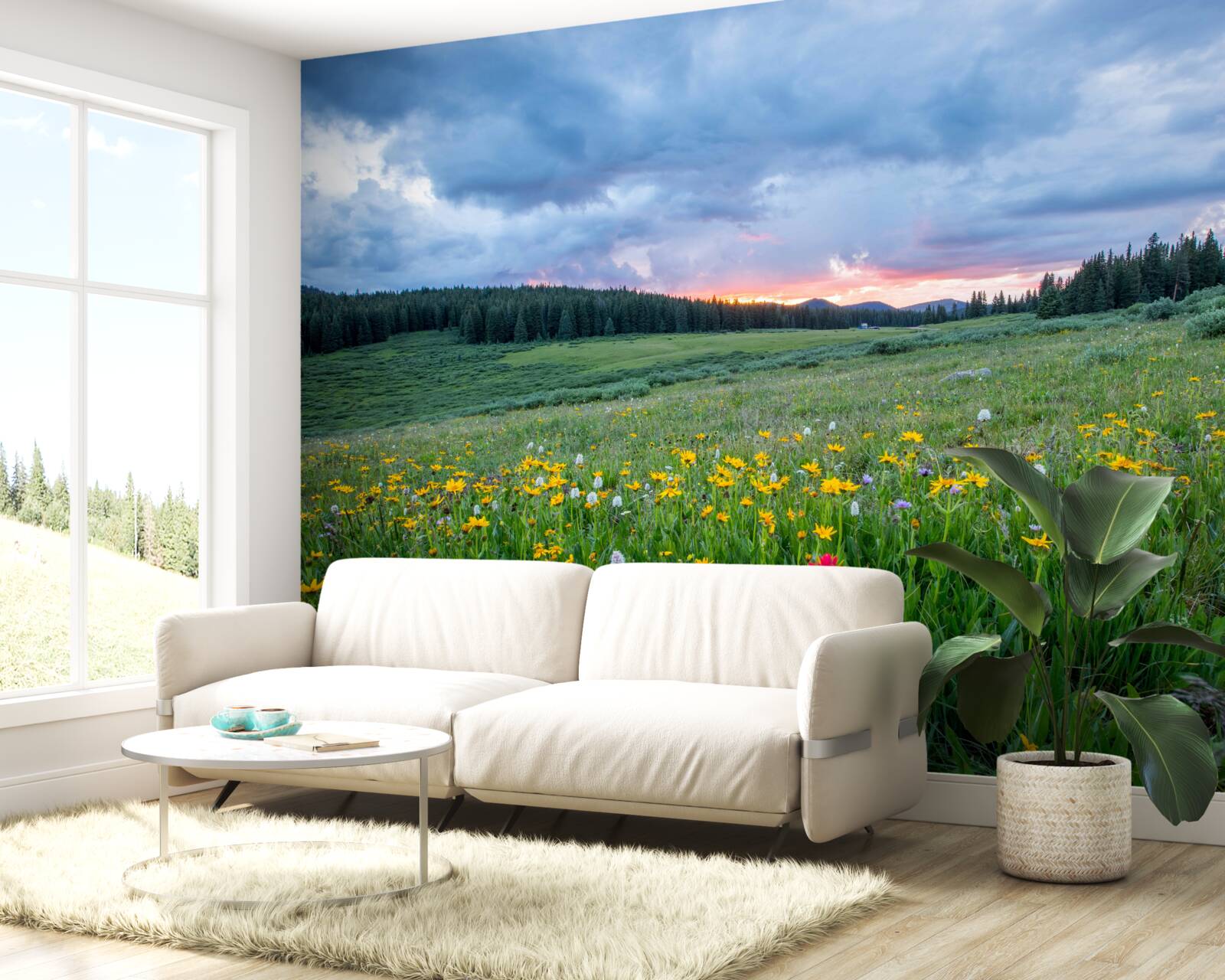 Fototapeta poľné lúčne rastliny