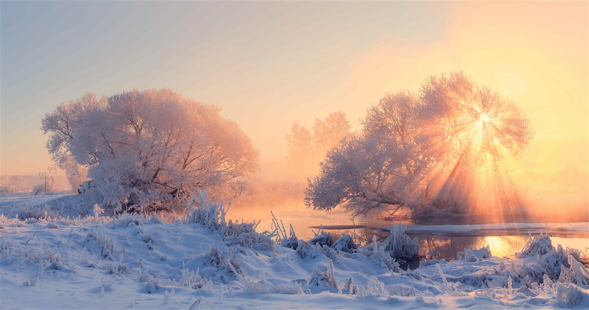 Fototapeta zimné ráno v mraze
