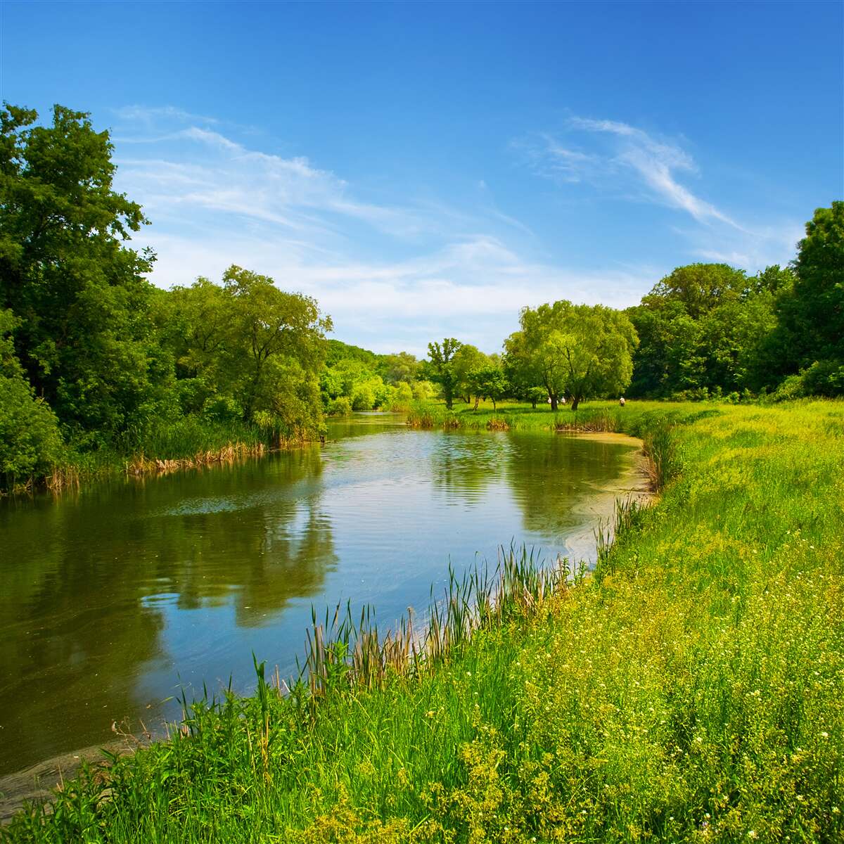 Fototapeta zelená lúka, cez ktorú preteká pokojná voda
