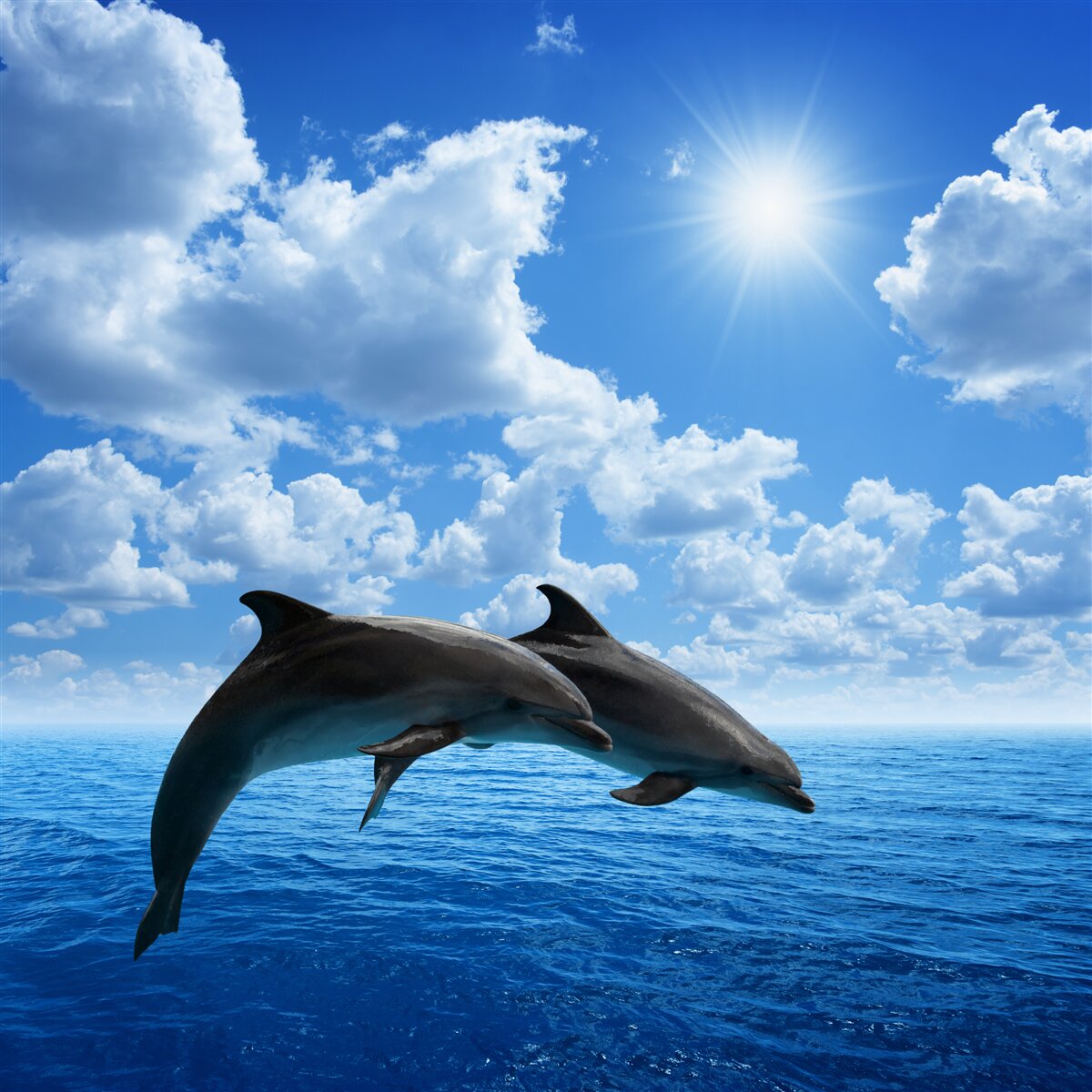 Fototapeta Prepáčte, ale „a92785“ nie je úplná veta, fráza alebo parafráza. Uveďte celú vetu, aby som vám mohol lepšie pomôcť