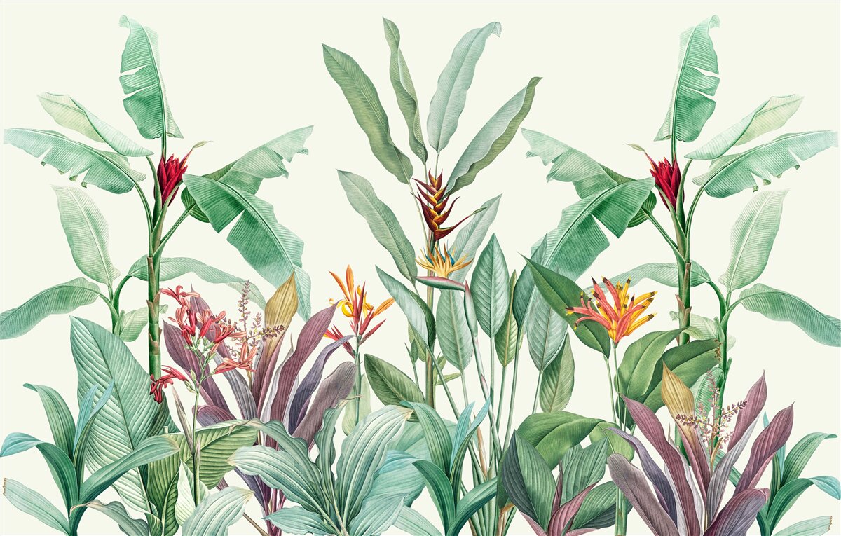 Fototapeta tropické zelené listy